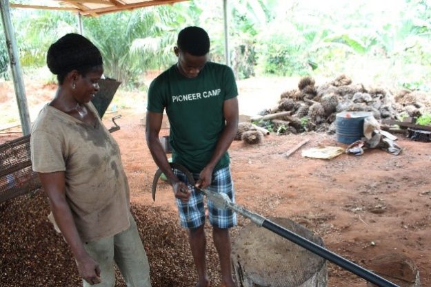 Ruth Nwagba and her son preparing the MAH for pruning