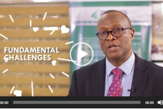 Stimulating Wealth Creation through Human Capital Development – Lessons from the Niger Delta.