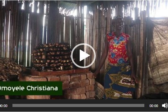 The Chorkor Oven; Changing the lives of fish smoking women in the Niger Delta riverine communities Christiana Omoyele's Story