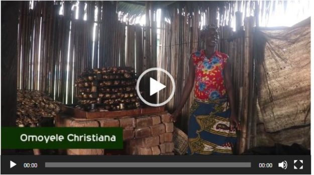The Chorkor Oven; Changing the lives of fish smoking women in the Niger Delta riverine communities Christiana Omoyele's Story