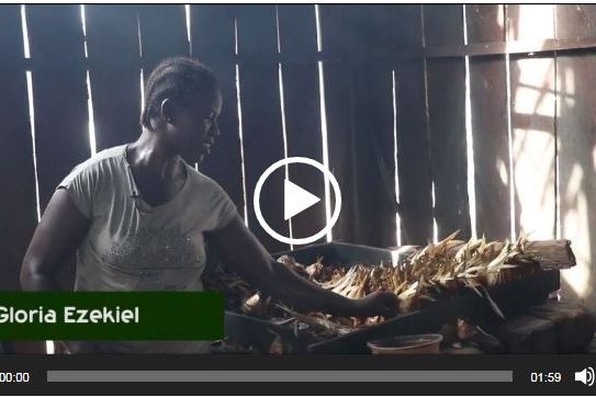 The Chorkor Oven; Changing the lives of fish smoking women in the Niger Delta riverine communities - Gloria Ezekiels Story