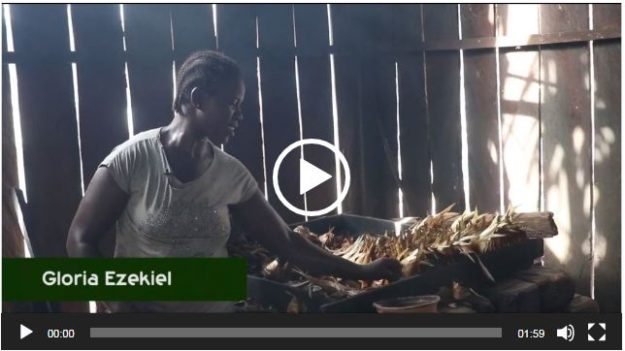 The Chorkor Oven; Changing the lives of fish smoking women in the Niger Delta riverine communities - Gloria Ezekiels Story