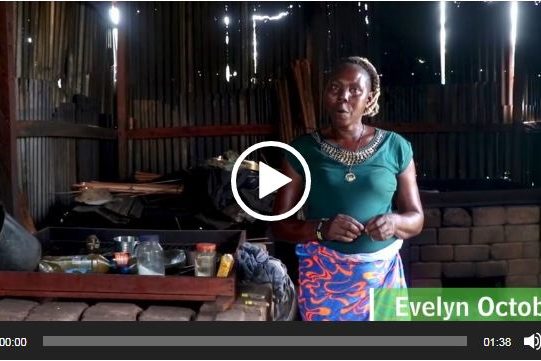 The Chorkor Oven; Changing the lives of fish smoking women in the Niger Delta riverine communities – Evelyn Octorber’s Story