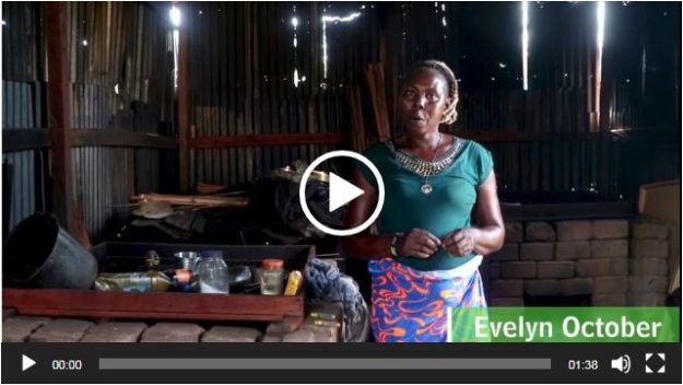 The Chorkor Oven; Changing the lives of fish smoking women in the Niger Delta riverine communities – Evelyn Octorber’s Story