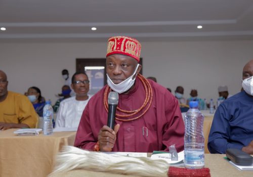 PIND Land for Agriculture in the Niger Delta (2)