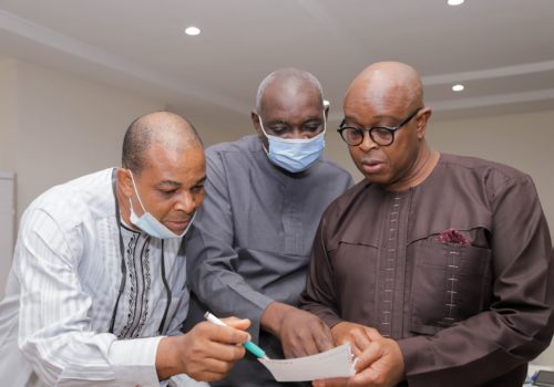 PIND Land for Agriculture in the Niger Delta (5)