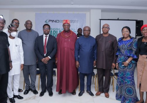 PIND Land for Agriculture in the Niger Delta