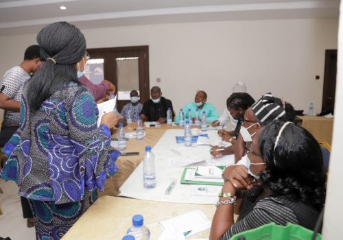 PIND Land for Agriculture in the Niger Delta (9)