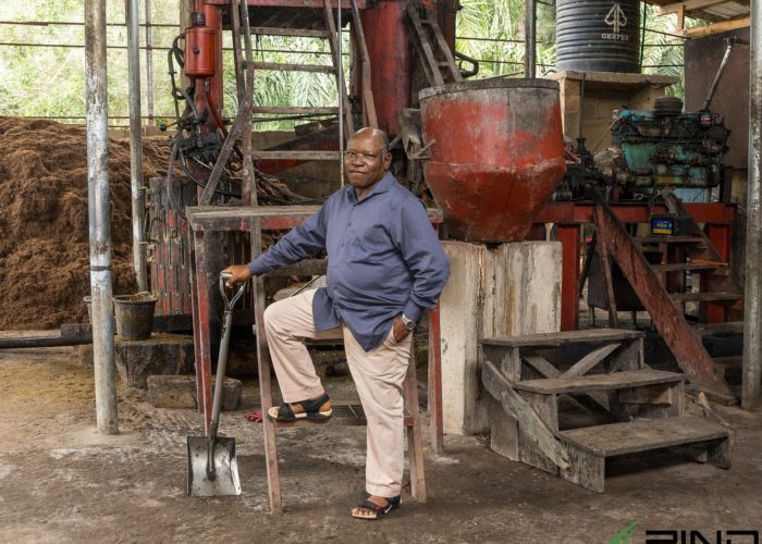 Empowering Niger Delta Agriculture3