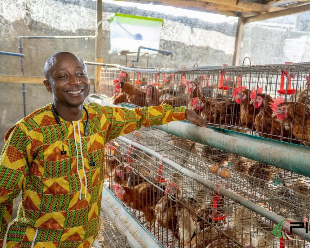 Empowering Niger Delta Agriculture6