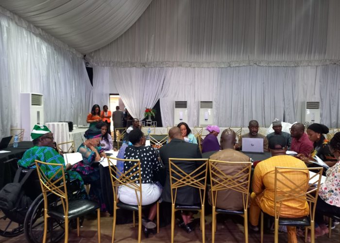 National Disability Convening2