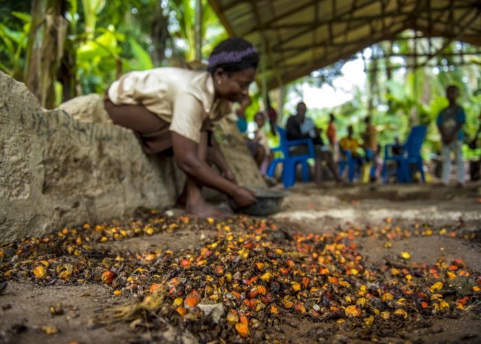 PIND's Climate-Smart Good Agricultural Practices1